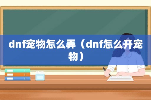 dnf宠物怎么弄（dnf怎么开宠物）