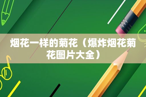 烟花一样的菊花（爆炸烟花菊花图片大全）
