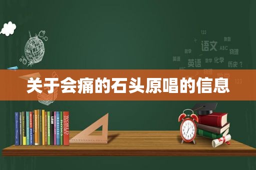 关于会痛的石头原唱的信息
