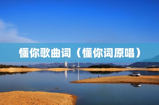 懂你歌曲词（懂你词原唱）