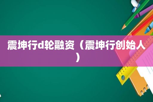 震坤行d轮融资（震坤行创始人）