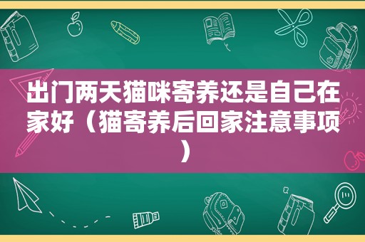 出门两天猫咪寄养还是自己在家好（猫寄养后回家注意事项）