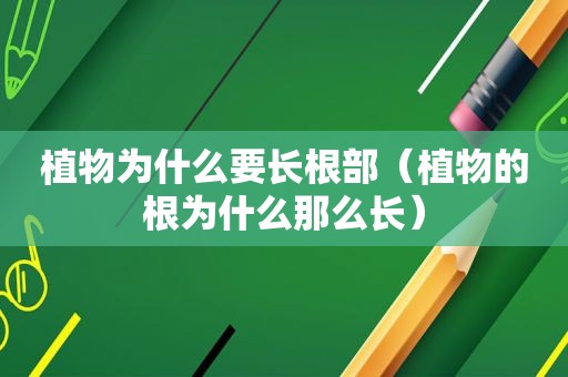 植物为什么要长根部（植物的根为什么那么长）
