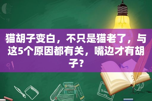 猫胡子变白，不只是猫老了，与这5个原因都有关，嘴边才有胡子？