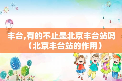 丰台,有的不止是北京丰台站吗（北京丰台站的作用）