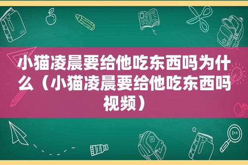 小猫凌晨要给他吃东西吗为什么（小猫凌晨要给他吃东西吗视频）