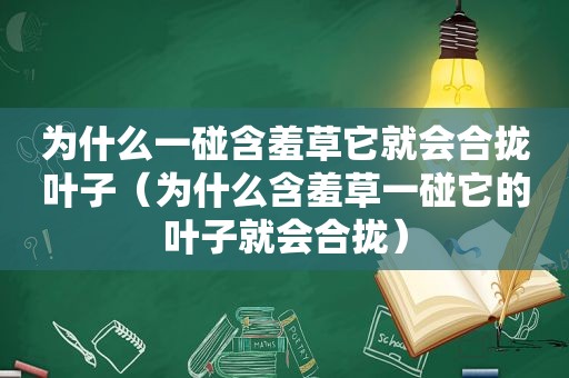 为什么一碰含羞草它就会合拢叶子（为什么含羞草一碰它的叶子就会合拢）