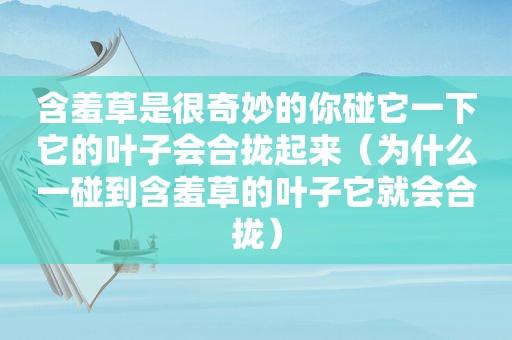 含羞草是很奇妙的你碰它一下它的叶子会合拢起来（为什么一碰到含羞草的叶子它就会合拢）