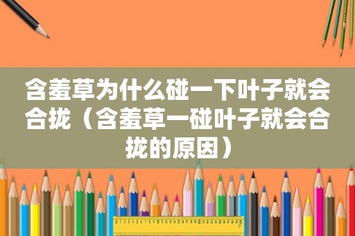 含羞草为什么碰一下叶子就会合拢（含羞草一碰叶子就会合拢的原因）
