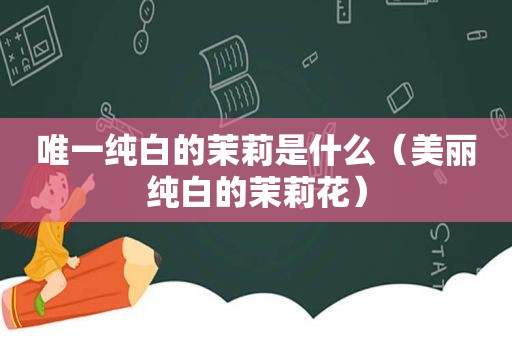 唯一纯白的茉莉是什么（美丽纯白的茉莉花）
