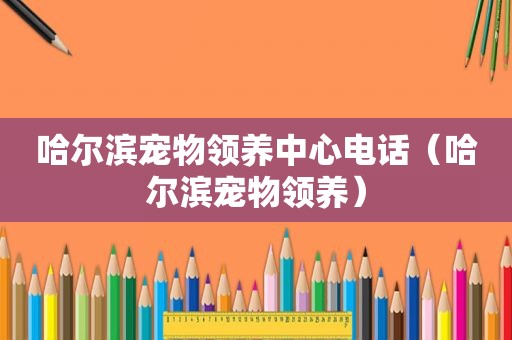 哈尔滨宠物领养中心电话（哈尔滨宠物领养）
