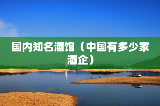 国内知名酒馆（中国有多少家酒企）