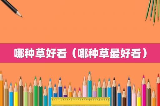 哪种草好看（哪种草最好看）