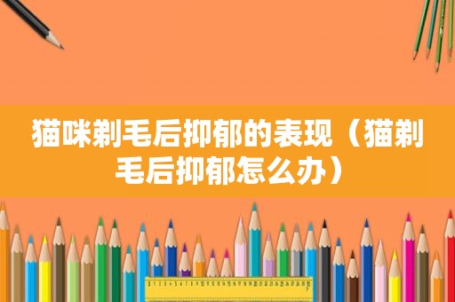 猫咪剃毛后抑郁的表现（猫剃毛后抑郁怎么办）