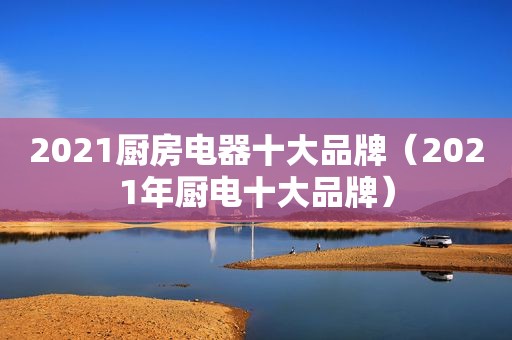 2021厨房电器十大品牌（2021年厨电十大品牌）