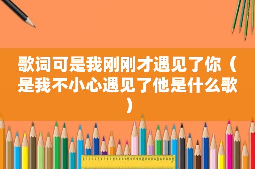 歌词可是我刚刚才遇见了你（是我不小心遇见了他是什么歌）