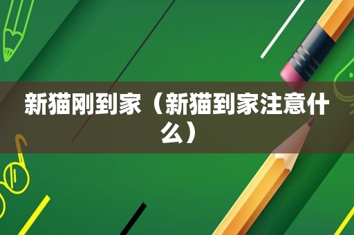 新猫刚到家（新猫到家注意什么）