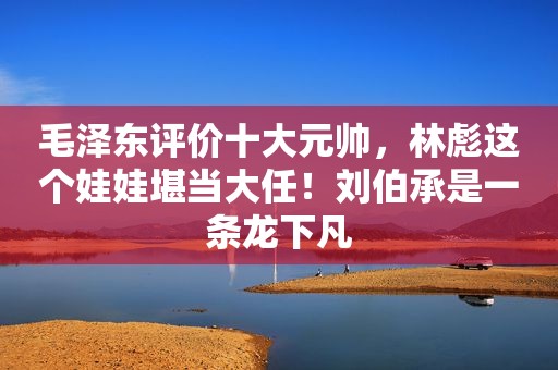 *** 评价十大元帅，林彪这个娃娃堪当大任！刘伯承是一条龙下凡