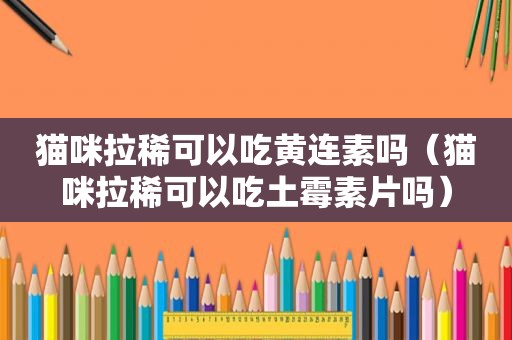 猫咪拉稀可以吃黄连素吗（猫咪拉稀可以吃土霉素片吗）
