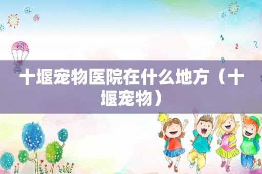十堰宠物医院在什么地方（十堰宠物）