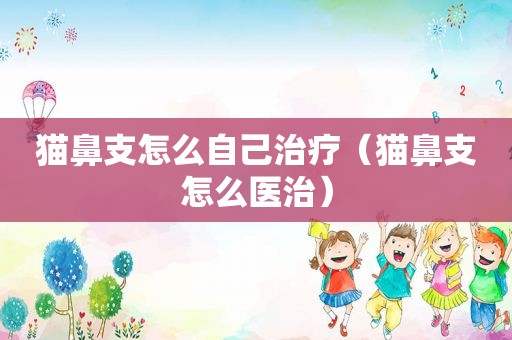 猫鼻支怎么自己治疗（猫鼻支怎么医治）