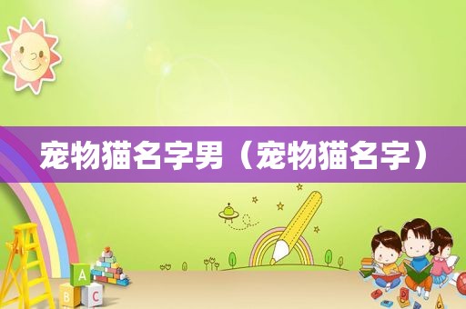 宠物猫名字男（宠物猫名字）