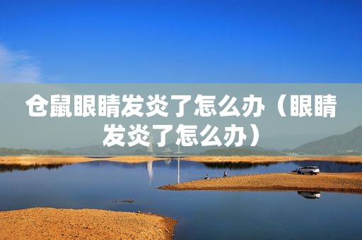 仓鼠眼睛发炎了怎么办（眼睛发炎了怎么办）