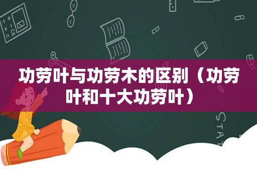 功劳叶与功劳木的区别（功劳叶和十大功劳叶）