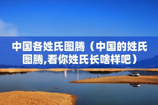 中国各姓氏图腾（中国的姓氏图腾,看你姓氏长啥样吧）