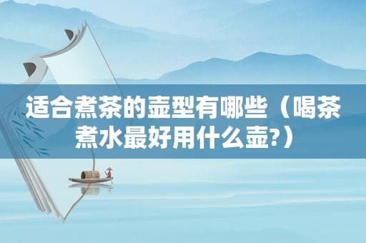 适合煮茶的壶型有哪些（喝茶煮水最好用什么壶?）