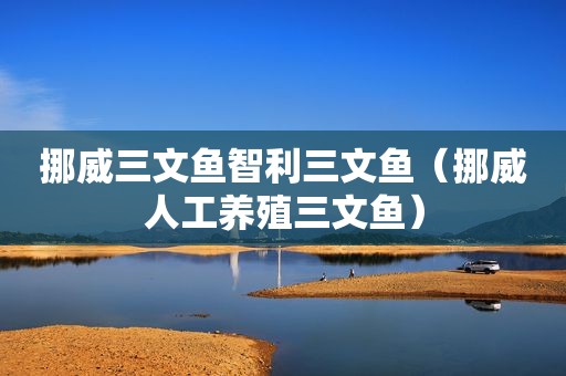 挪威三文鱼智利三文鱼（挪威人工养殖三文鱼）