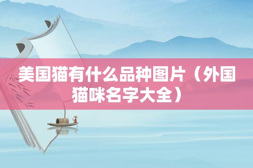 美国猫有什么品种图片（外国猫咪名字大全）