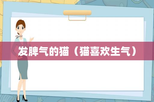 发脾气的猫（猫喜欢生气）