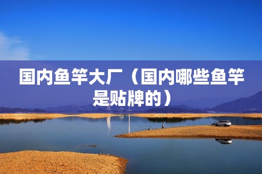 国内鱼竿大厂（国内哪些鱼竿是贴牌的）