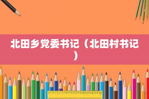 北田乡党委书记（北田村书记）