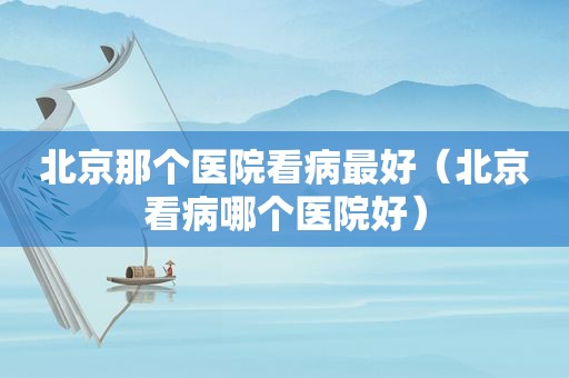 北京那个医院看病最好（北京看病哪个医院好）