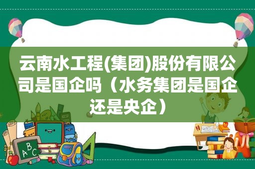 云南水工程(集团)股份有限公司是国企吗（水务集团是国企还是央企）