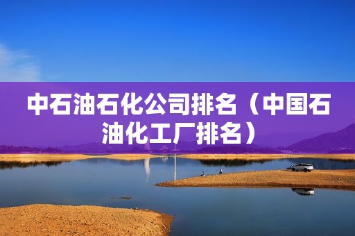 中石油石化公司排名（中国石油化工厂排名）