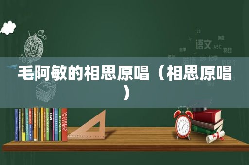 毛阿敏的相思原唱（相思原唱）