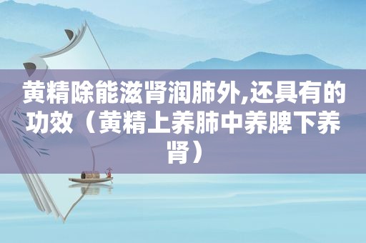 黄精除能滋肾润肺外,还具有的功效（黄精上养肺中养脾下养肾）