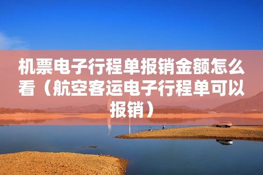 机票电子行程单报销金额怎么看（航空客运电子行程单可以报销）