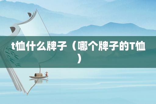 t恤什么牌子（哪个牌子的T恤）