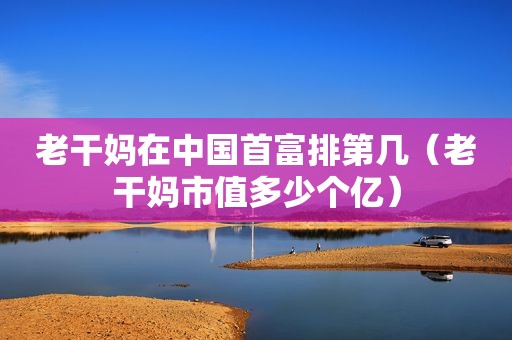 老干妈在中国首富排第几（老干妈市值多少个亿）