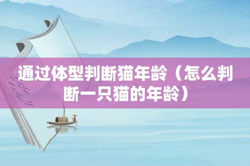 通过体型判断猫年龄（怎么判断一只猫的年龄）