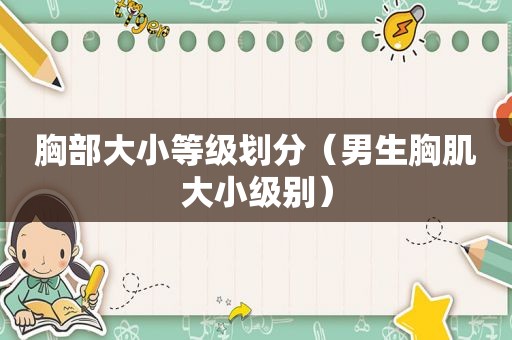 胸部大小等级划分（男生胸肌大小级别）