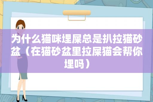 为什么猫咪埋屎总是扒拉猫砂盆（在猫砂盆里拉屎猫会帮你埋吗）