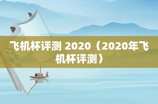飞机杯评测 2020（2020年飞机杯评测）