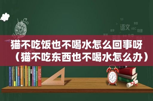 猫不吃饭也不喝水怎么回事呀（猫不吃东西也不喝水怎么办）