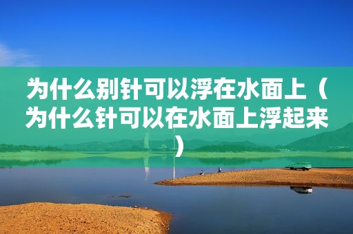 为什么别针可以浮在水面上（为什么针可以在水面上浮起来）