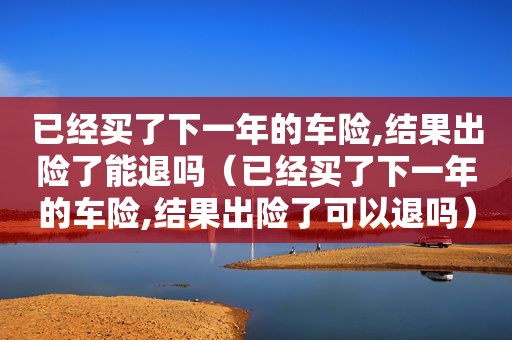 已经买了下一年的车险,结果出险了能退吗（已经买了下一年的车险,结果出险了可以退吗）